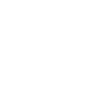 پولاد نوین معدن پویا